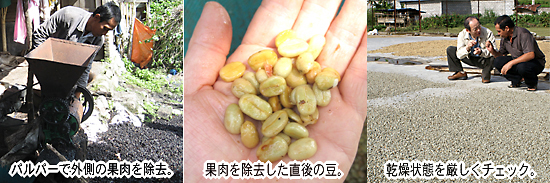 マンデリン トバブルー
