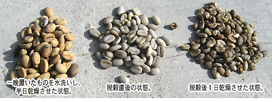 マンデリン トバブルー