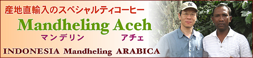 �ޥ�ǥ�󥢥���