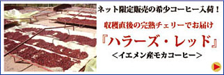 �ϥ顼����åɡ��⥫�����ҡ��Ϥ�����