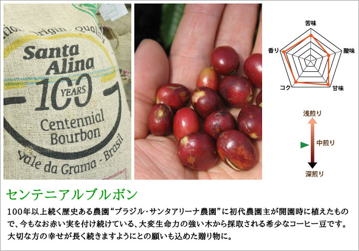 樹齢百年を超えるコーヒーの木から採取された希少コーヒー、センテニアルブルボン