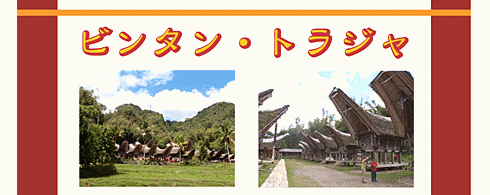 �ӥ󥿥󡦥ȥ饸��